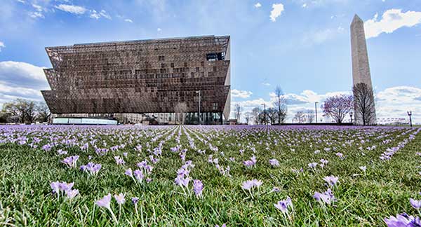 Irrigation project at NMAAHC (Photo: Michael Barnes)