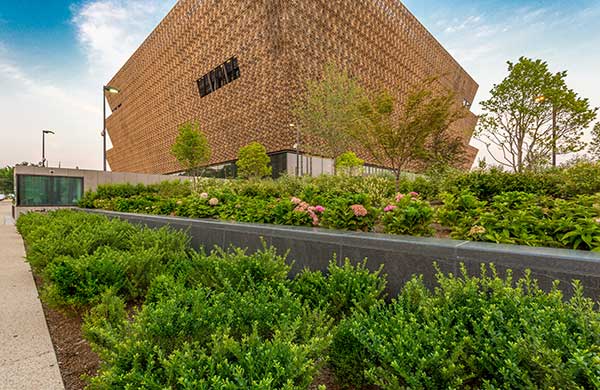 Irrigation project at NMAAHC (Photo: Ruppert Landscape)
