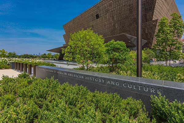 Irrigation project at NMAAHC (Photo: Ruppert Landscape)
