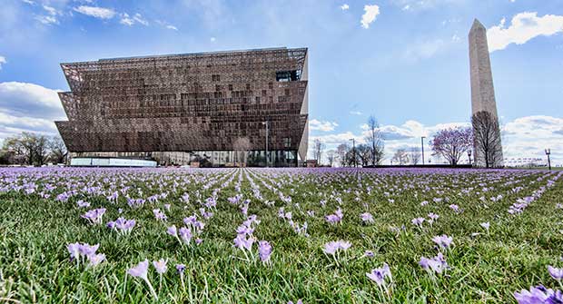 Irrigation project at NMAAHC (Photo: Michael Barnes)