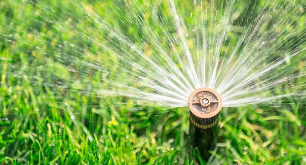 Sprinkler head (Photo: MariuszBlach / iStock / Getty Images / Getty Images Plus)