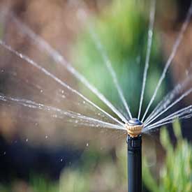 Photo: Rainbird