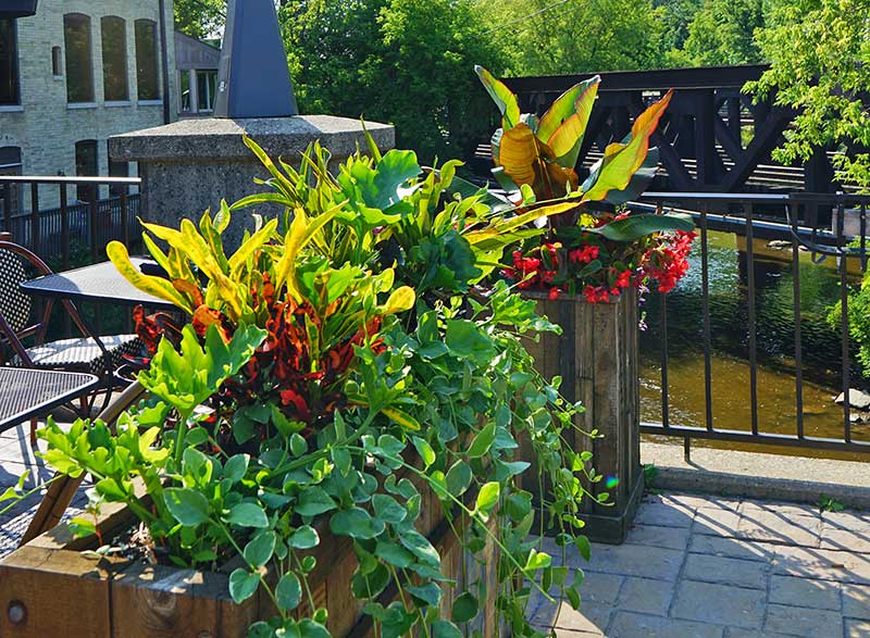 Photo: David J. Frank Landscape Contracting