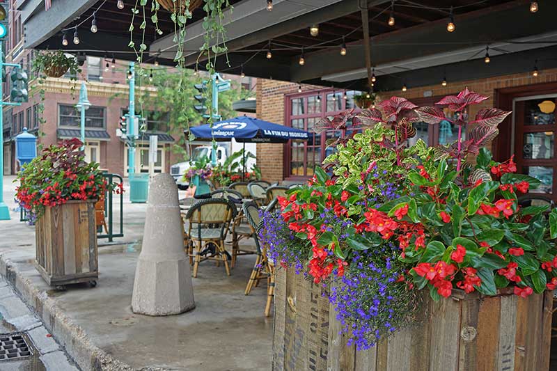 Photo: David J. Frank Landscape Contracting