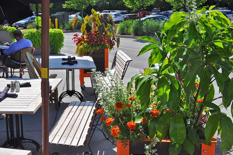 Photo: David J. Frank Landscape Contracting