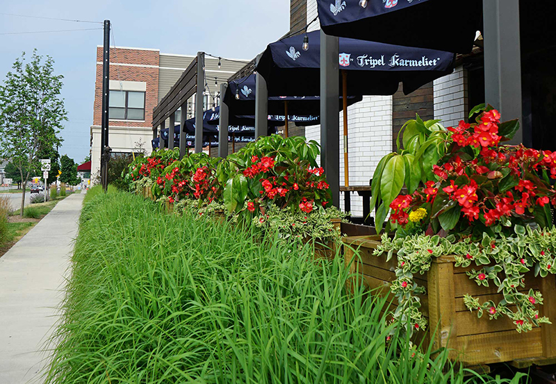 Photo: David J. Frank Landscape Contracting