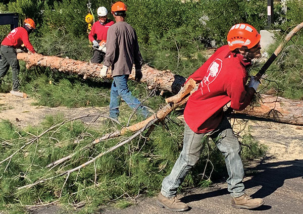 Caretaker Landscape puts an emphasis on employee training and certifications. (Photo: Dominique Hypolite)