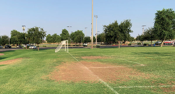 Soccer field photo (Photo: DLC Resources)