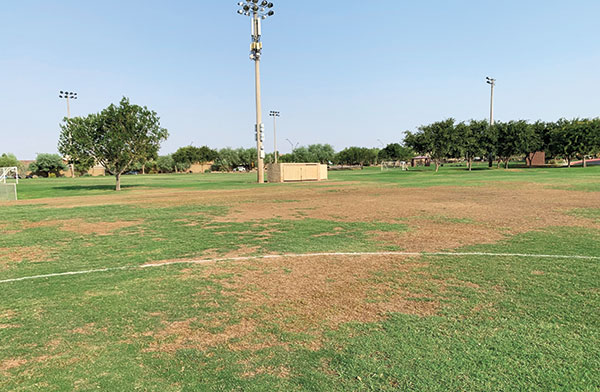 Soccer field photo (Photo: DLC Resources)