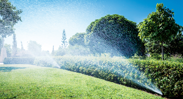Photo: fcafotodigital/ iStock / Getty Images Plus/Getty Images