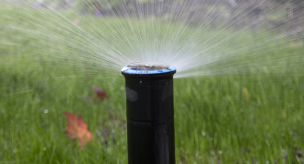 Several irrigation installers recommend Rain Bird heads (Photo: LM Staff)