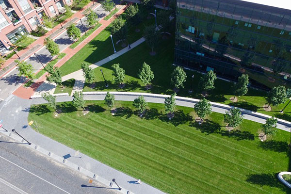 Landscape maintenance Project (Photo: Environmental Management Inc.)