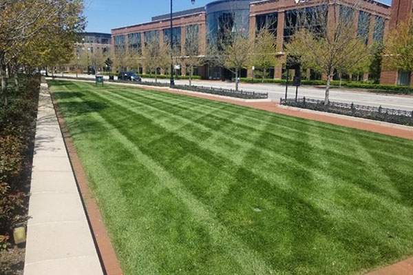 Landscape maintenance Project (Photo: Environmental Management Inc.)