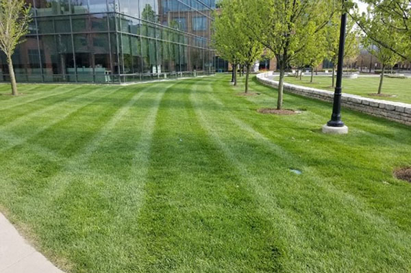 Landscape maintenance Project (Photo: Environmental Management Inc.)