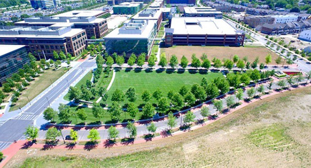 Landscape maintenance Project (Photo: Environmental Management Inc.)