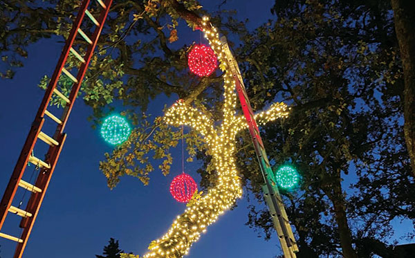 Holiday lighting (Photo: Murphy Christmas Lighting)