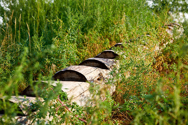 Hardscapes project (Photo: Derek Johnson Visuals)