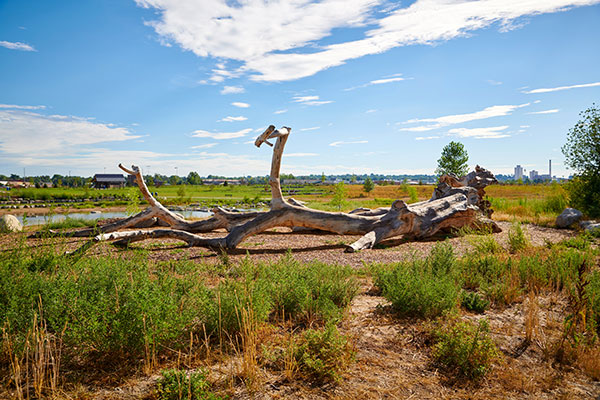 Hardscapes project (Photo: Derek Johnson Visuals)