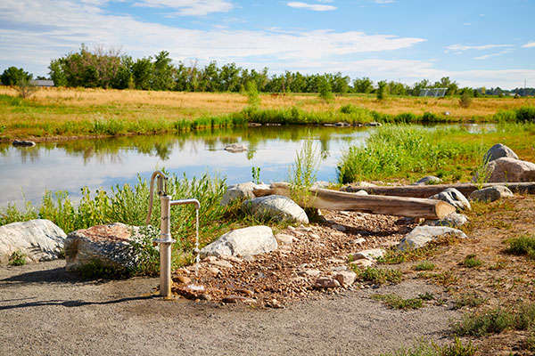 Hardscapes project (Photo: Derek Johnson Visuals)