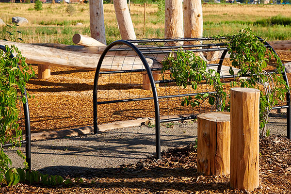 Hardscapes project (Photo: Derek Johnson Visuals)