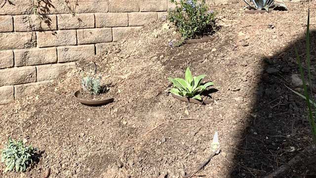 Hillside Planter added a new biodegradable planter to its product line. (Photo: Hillside Planter)