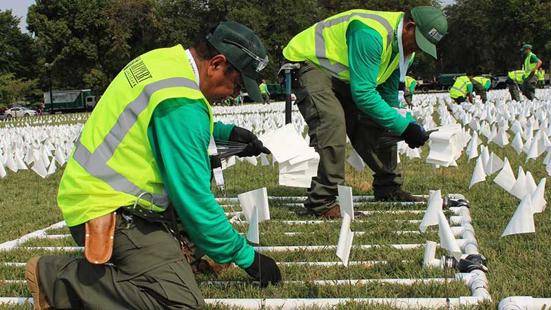 Teams of two work to fill each grid section with white flags. (Photo: Ruppert Landscape)