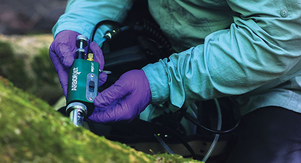Technician treating a tree (Photo: Arborjet)