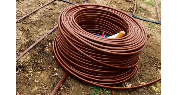 Photo: Jain Irrigation
