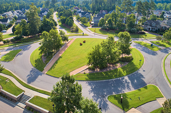 Landscape project at Chapel Hill (Photo: Brian Mullins)