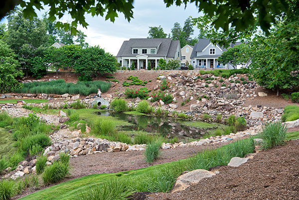 Landscape project at Chapel Hill (Photo: Brian Mullins)