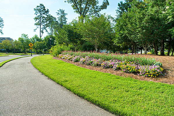 Landscape project at Chapel Hill (Photo: Brian Mullins)
