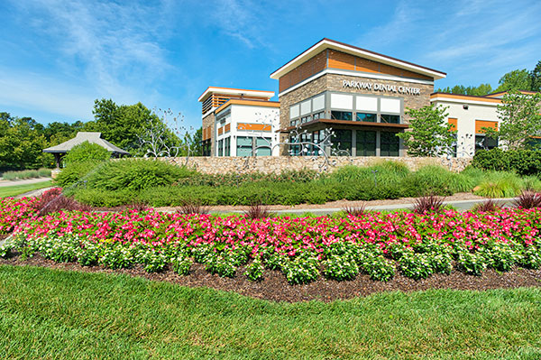 Landscape project at Chapel Hill (Photo: Brian Mullins)