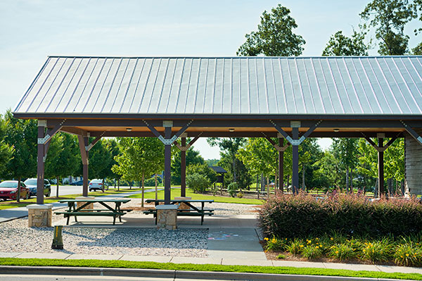 Landscape project at Chapel Hill (Photo: Brian Mullins)