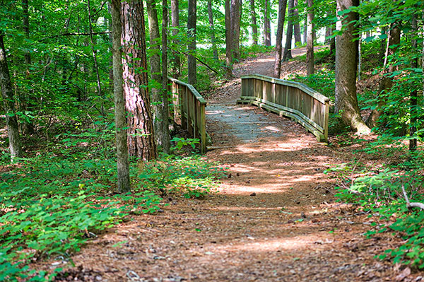 Landscape project at Chapel Hill (Photo: Brian Mullins)