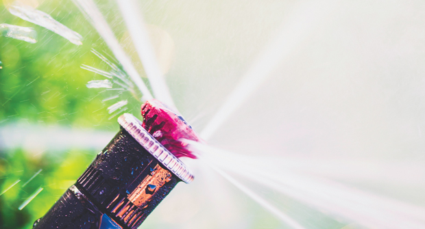Photo: CatLane/iStock / Getty Images Plus/Getty Images