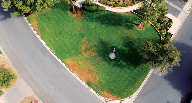 Photo: Harvest Landscape Enterprises