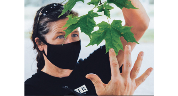 Melissa LeVangie Ingersoll says the industry needs to continue to showcase the possibilities in arboriculture. (Photo: Women’s Tree Climbing Workshop)