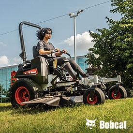 Photo: Bobcat