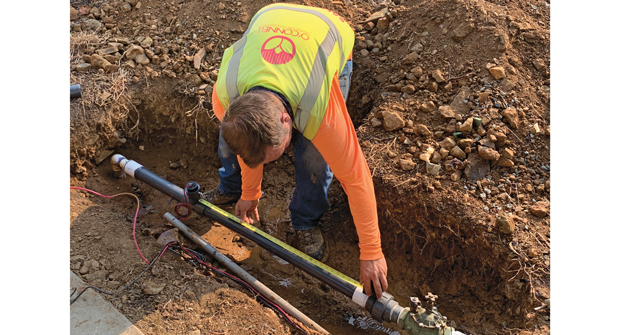Photo: O’Connell Landscape Maintenance