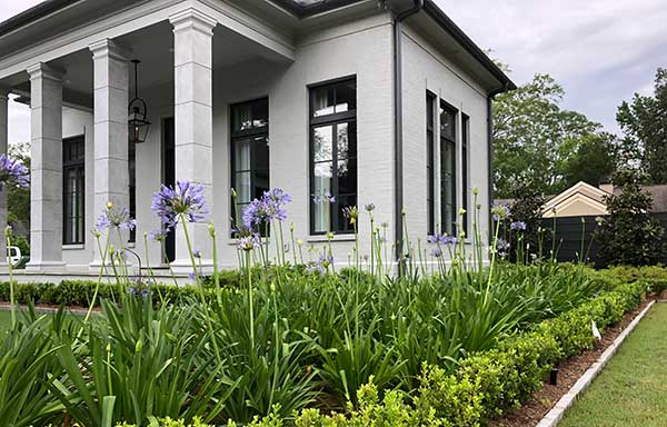Landscape maintenance project in New Orleans (Photo: LazyEye Photography)