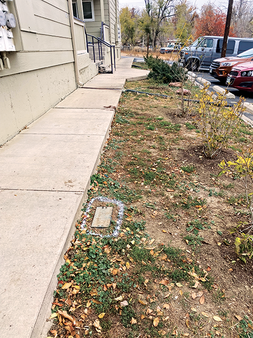 Photo: Weisburg Landscape Maintenance