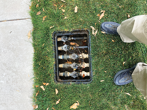 Photo: Weisburg Landscape Maintenance