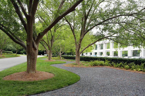 (Photo: District at Chamblee)