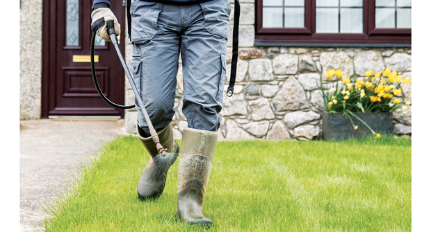 Lawn growth regulators reduce the frequency of mowing and create a healthier plant. (Photo: Henfaes/iStock / Getty Images Plus/Getty Images)