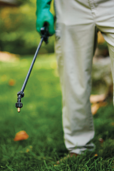 Timing is vital to minimize billbug damage. If turf thinning is visible it’s probably already too late. (Photo: PBI-Gordon)