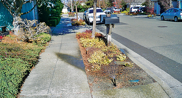 Photo: Serpico Landscaping