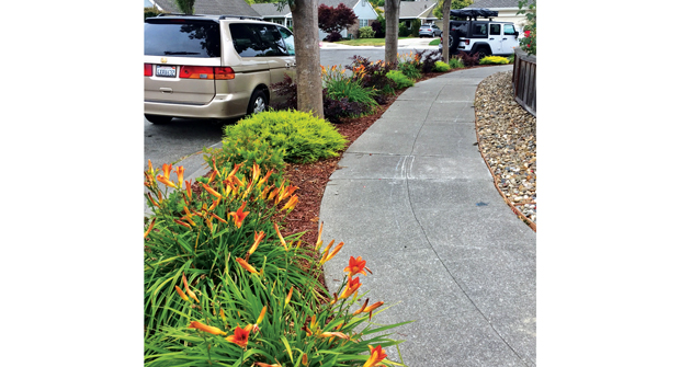 Photo: Serpico Landscaping