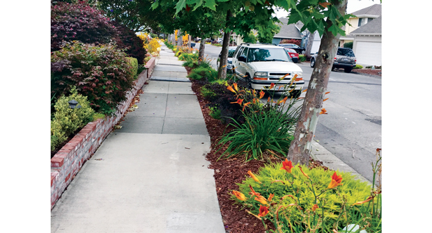 Photo: Serpico LandscapingPhoto: Serpico Landscaping