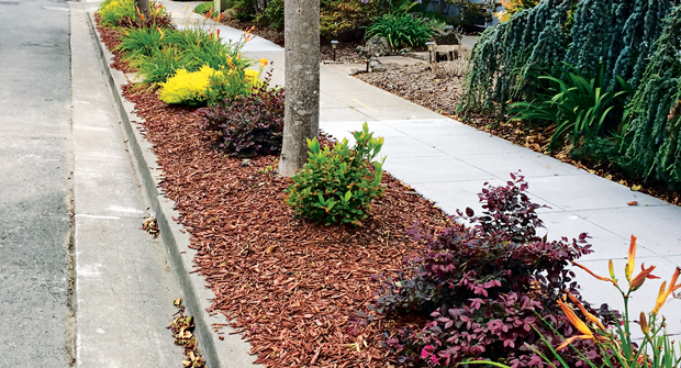 Photo: Serpico Landscaping