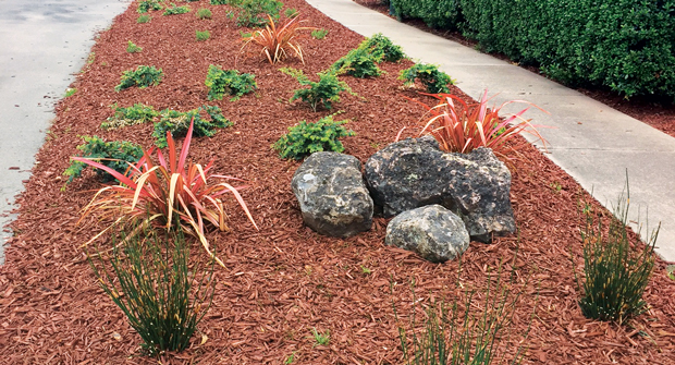 Photo: Serpico Landscaping